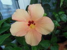 DSCN0063