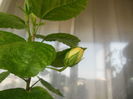 DSCN0308