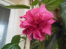 DSCN0309