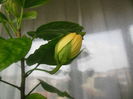 DSCN0315