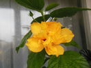 DSCN0334