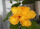 DSCN0335