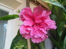 DSCN0375