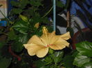 DSCN0476