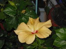 DSCN0477