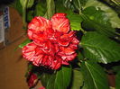 DSCN0488