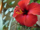 DSCN3814