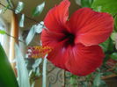 DSCN3815