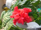 DSCN4405