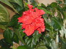 DSCN4407