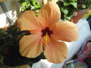 DSCN4951