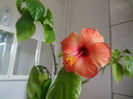 DSCN4955
