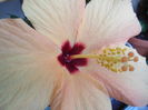 DSCN5541