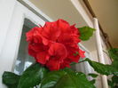 DSCN5543