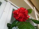 DSCN5545