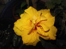 DSCN6743