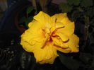 DSCN6745