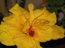 DSCN6748
