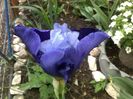 100520163036