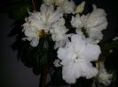 20160505_111148