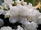 20160508_202437