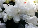 20160510_152604
