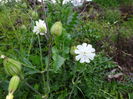 DSC05905