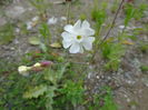 DSC05910