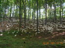 Picture 023