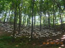 Picture 025