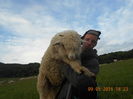 Picture 095