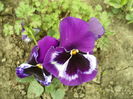 SAM_0047