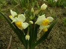 SAM_0048