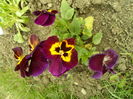SAM_0050