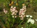 SAM_0045