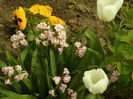 SAM_0051