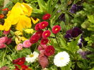 SAM_0052