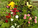 SAM_0054