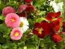 SAM_0057