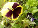 SAM_0058