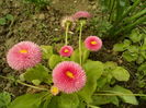 SAM_0062