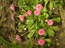 SAM_0069