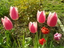 SAM_0005