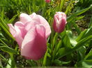 SAM_0006