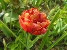SAM_0007