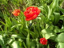 SAM_0010