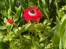 SAM_0011