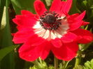 SAM_0012