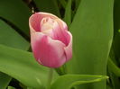 SAM_0014