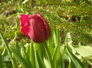 SAM_0015